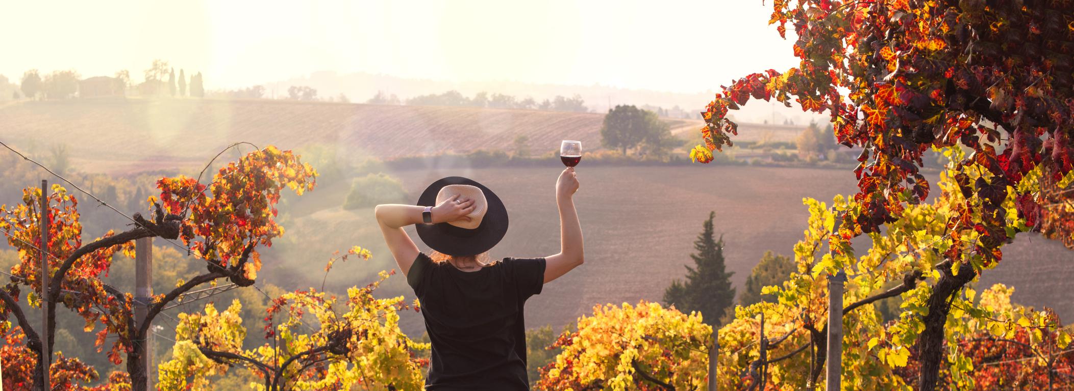 Agenzia di distribuzione vini